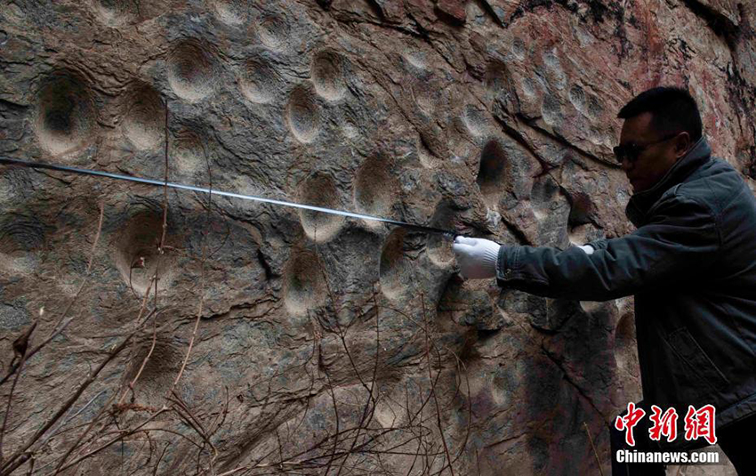 ?????? ???? ????? ???? ?? ?????? ???????? ??? ?????