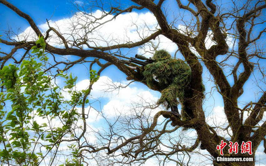 ???????: ??? ????? ?????? ?????? ??? ?????? ??????? ?? ????? ??????