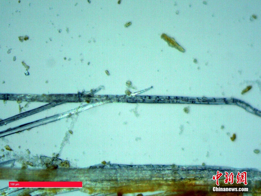 ???? ??? .. ?????? ?????? ???????? ???????? ?? ???? ???? ???? ?? ???????