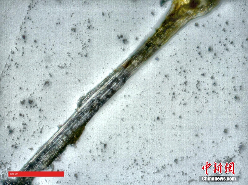 ???? ??? .. ?????? ?????? ???????? ???????? ?? ???? ???? ???? ?? ???????