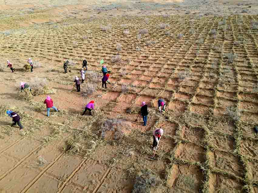 ?????? ?????: ??? ????? ?????? ?????? ?? ??????