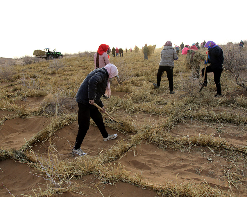 ?????? ?????: ??? ????? ?????? ?????? ?? ??????