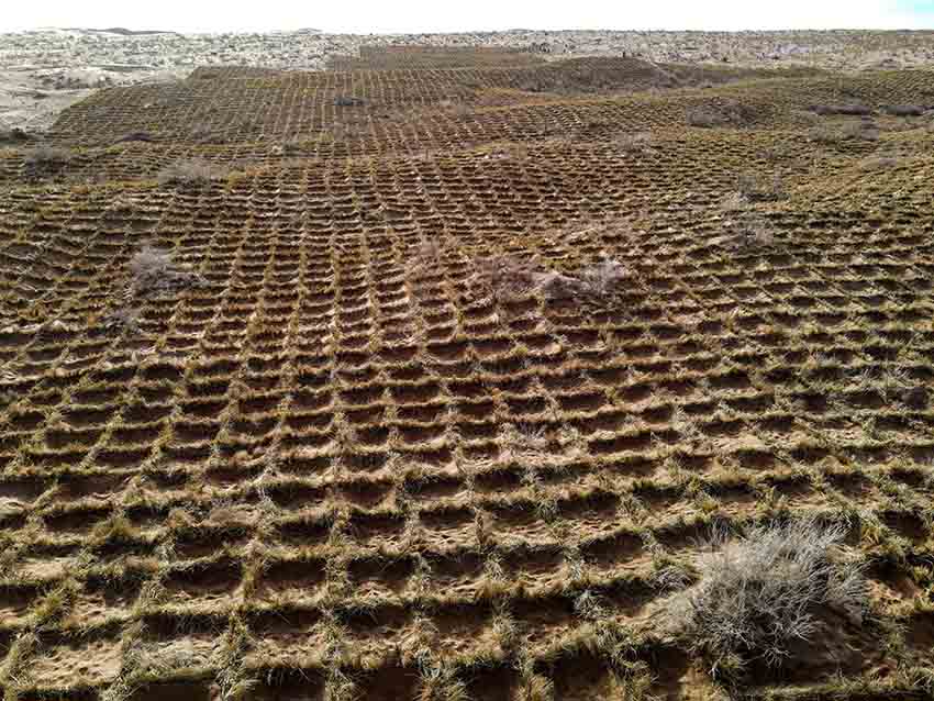 ?????? ?????: ??? ????? ?????? ?????? ?? ??????