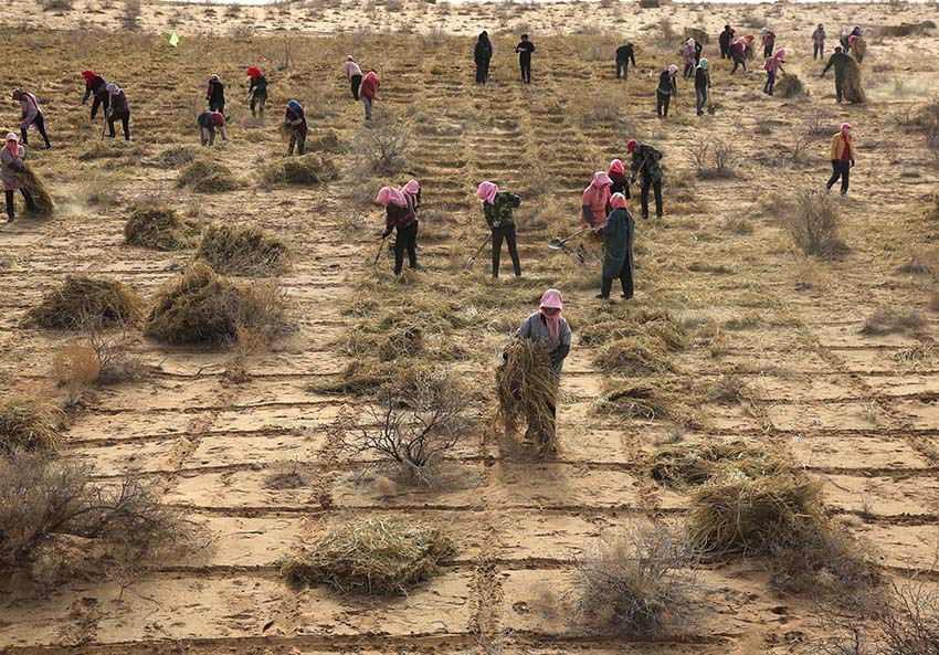 ?????? ?????: ??? ????? ?????? ?????? ?? ??????