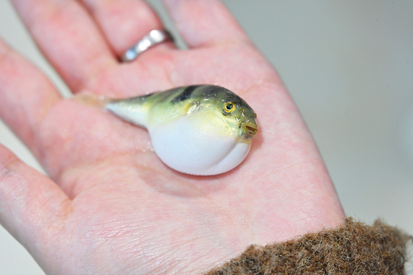 ?????? ???? ???? ????? ?????? ?? ?????? ??????? 