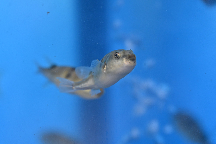 ?????? ???? ???? ????? ?????? ?? ?????? ??????? 