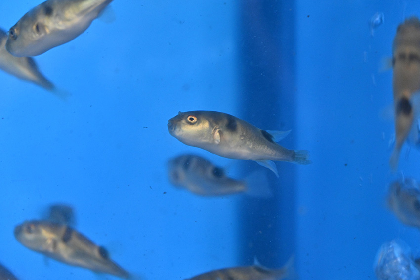 ?????? ???? ???? ????? ?????? ?? ?????? ??????? 