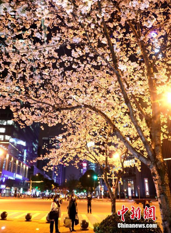 ????? ????? ????? ??? ????? ?????