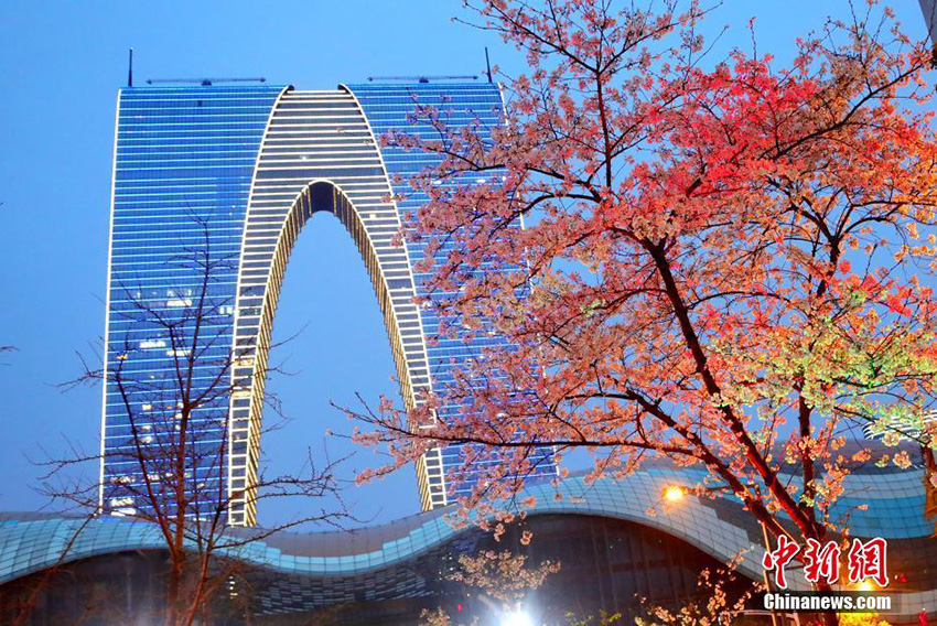 ????? ????? ????? ??? ????? ?????