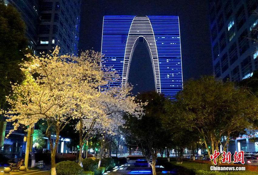 ????? ????? ????? ??? ????? ?????