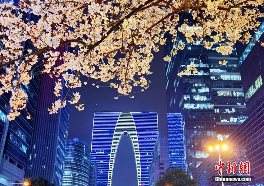 ????? ????? ????? ??? ????? ?????