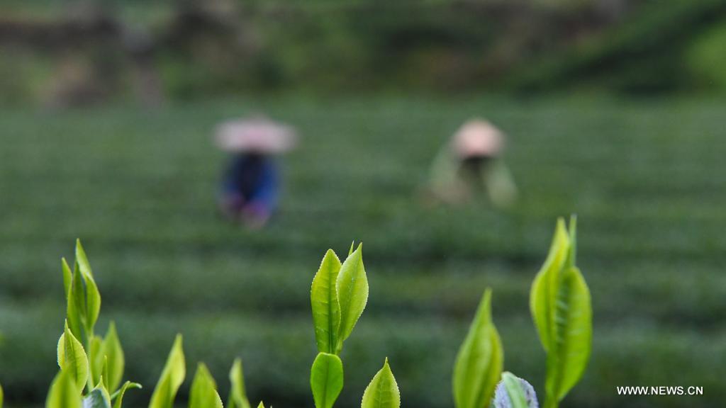 ??? ????? ??????? ?? ?????