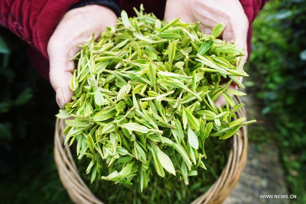 ??? ????? ??????? ?? ?????