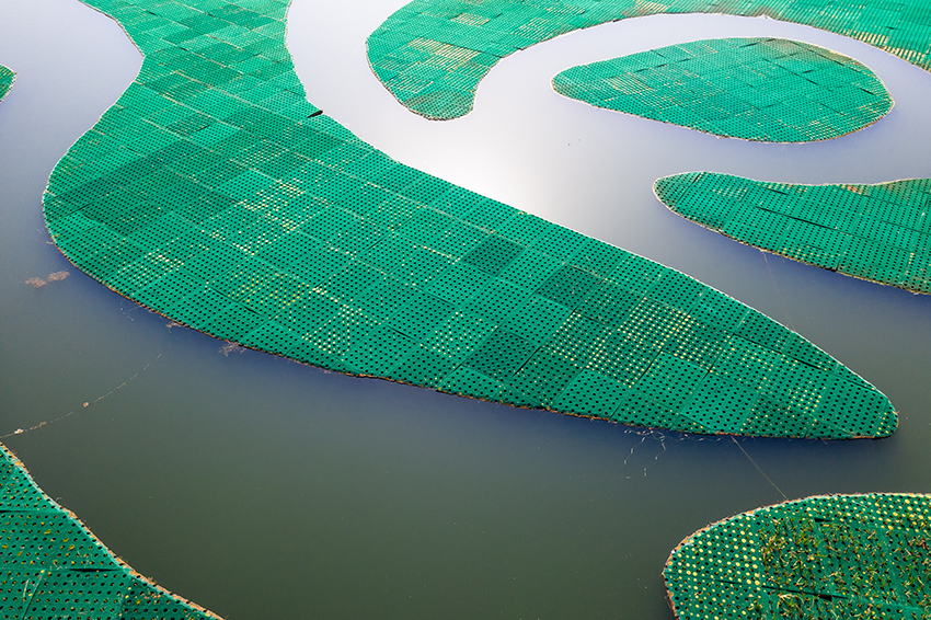 ???? ?????? ???????? ?????? ?????? ?? ???? ?????? ????? ?????