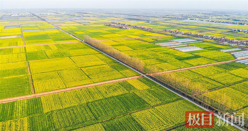 ???? ????? ???? ???? ?? ?????? ?? ?????? ????