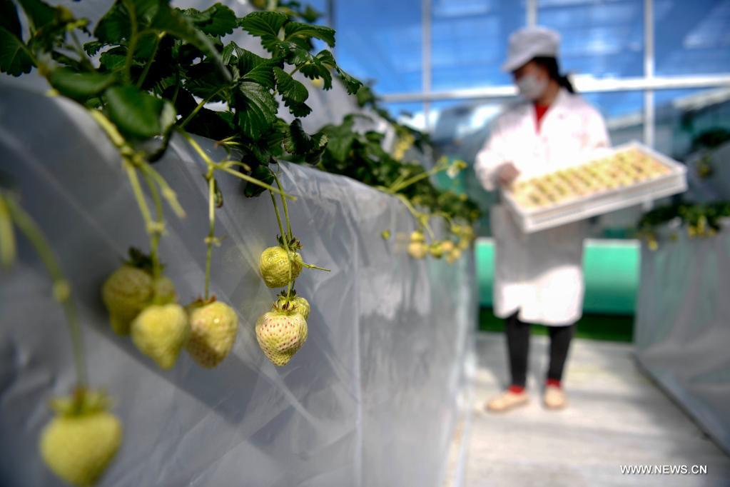 ????? ???????? ??????? ?? ????? ?????