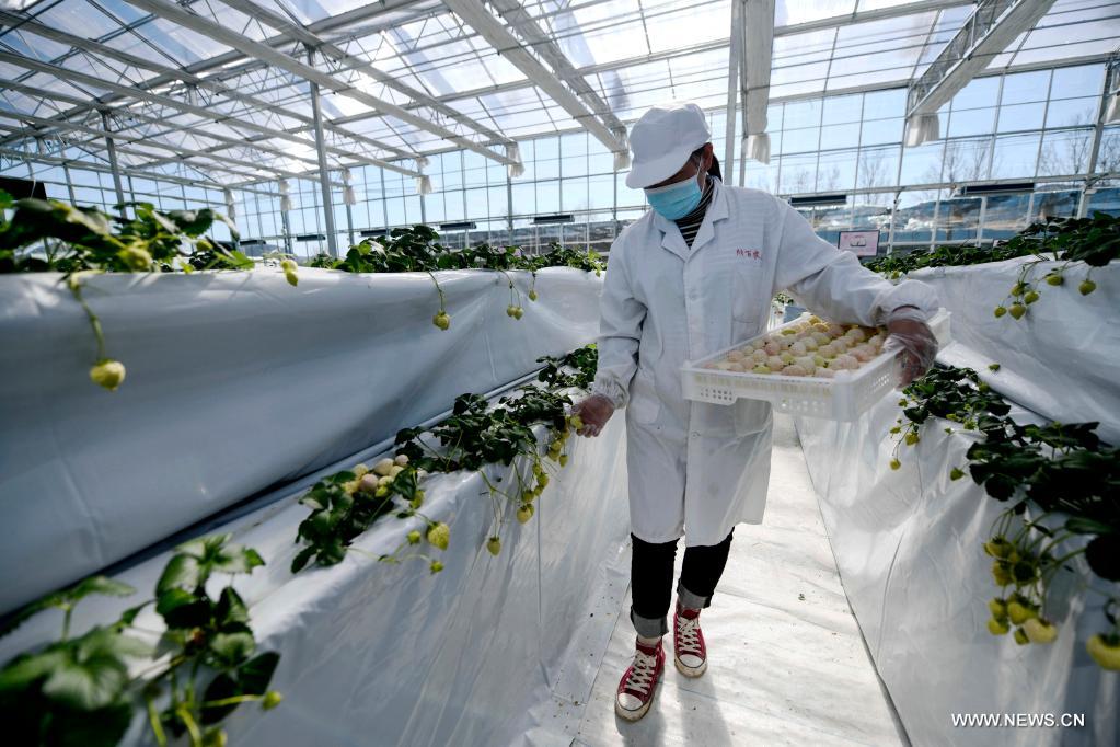 ????? ???????? ??????? ?? ????? ?????