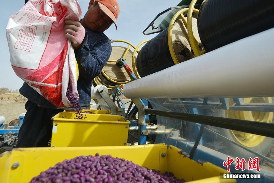 ????????: ????? ?????????? ?????? ?? ?? ?????