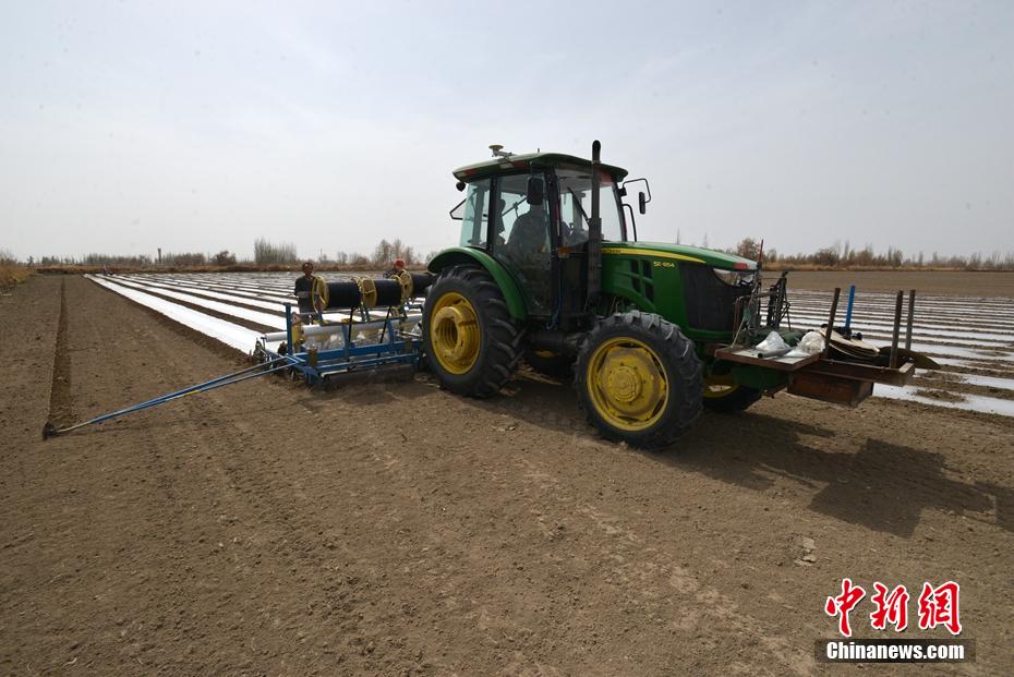 ????????: ????? ?????????? ?????? ?? ?? ?????