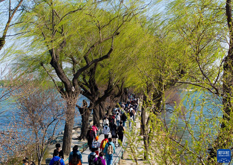 ????? ???? ???? ??????? ?? ????? ?????? ???? ???? ??? ?????? ???????