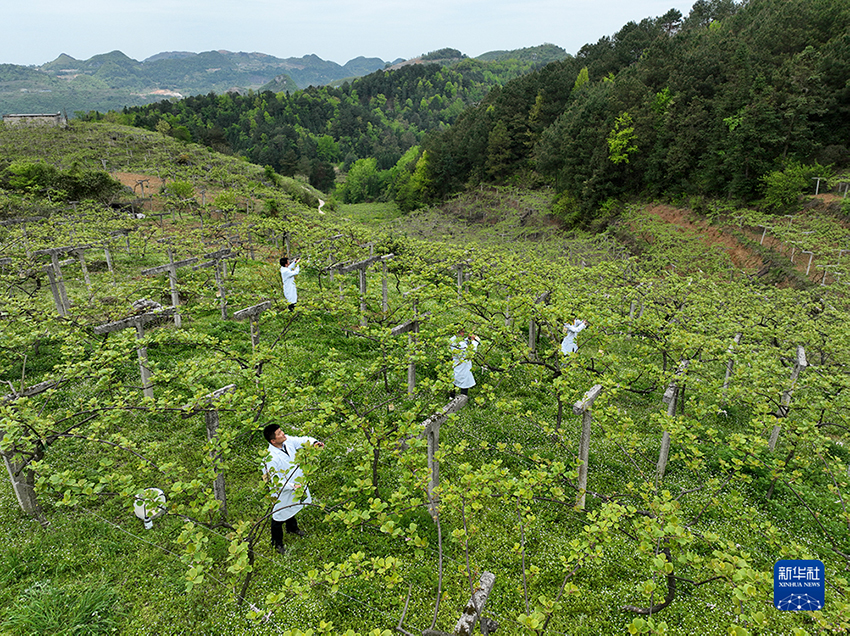 ???????: ?????? ??????? ????????