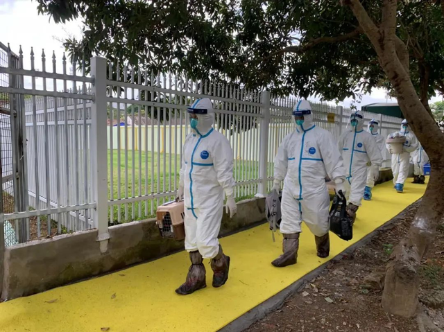 ????? ????? ??????? ???? ????? ?????? ????????? ??????? ???? ???? ??????? ????? ?????