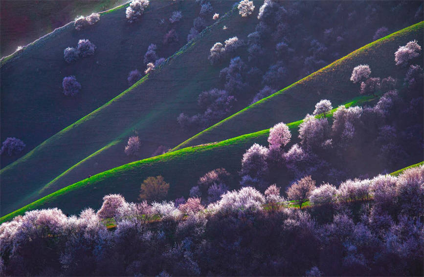 ????? ????? ????? ????? ?????? ?? ???? ?????? ?????????