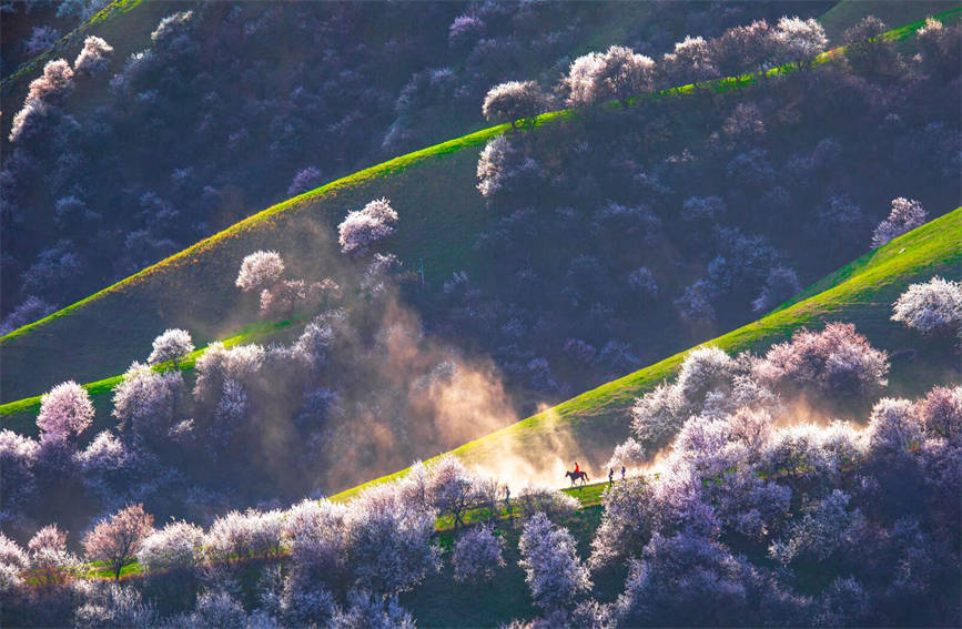 ????? ????? ????? ????? ?????? ?? ???? ?????? ?????????