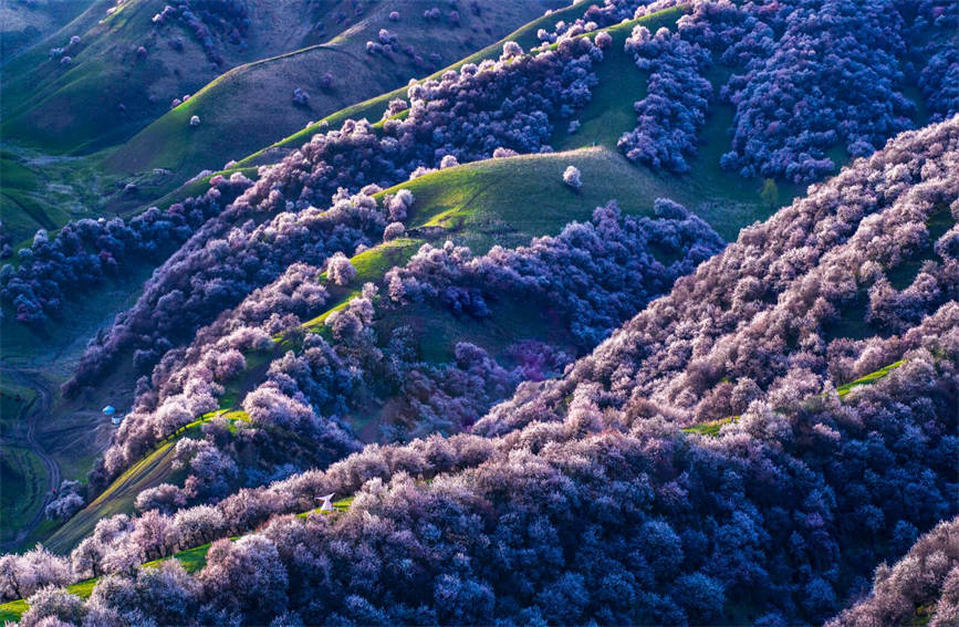 ????? ????? ????? ????? ?????? ?? ???? ?????? ?????????