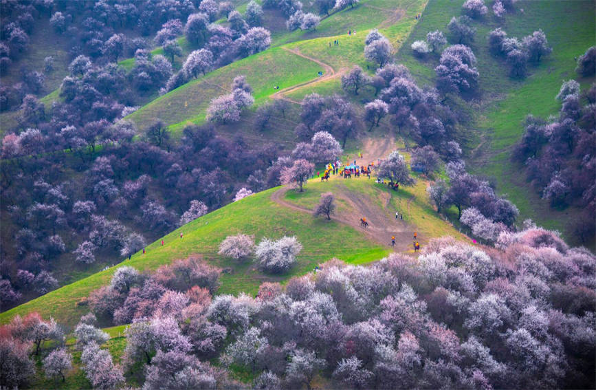 ????? ????? ????? ????? ?????? ?? ???? ?????? ?????????