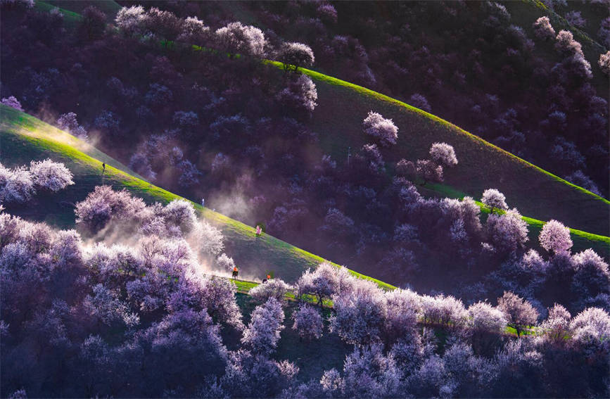 ????? ????? ????? ????? ?????? ?? ???? ?????? ?????????