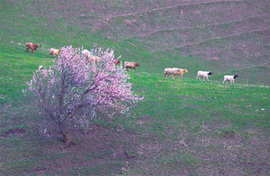 ????? ????? ????? ????? ?????? ?? ???? ?????? ?????????