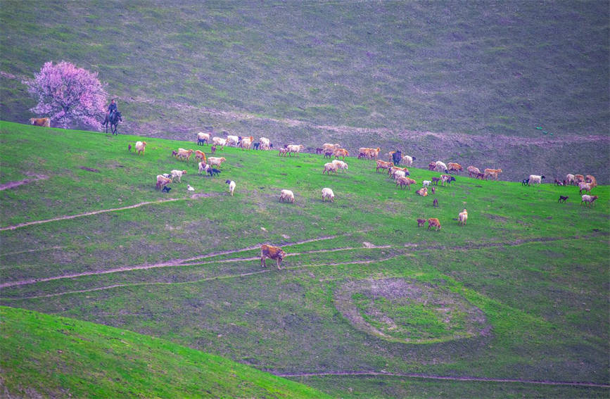 ????? ????? ????? ????? ?????? ?? ???? ?????? ?????????