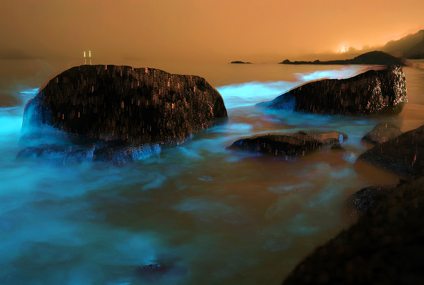 ?????? ??????? ???? ????? ????? ??????? ??????? ??????