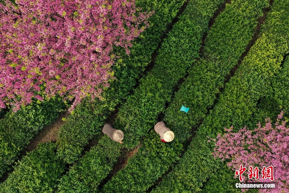 ??? ????? ????? ????? ????? ?? ??? ?????