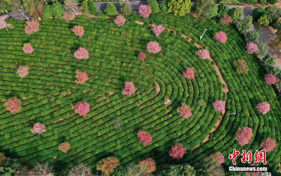 ??? ????? ????? ????? ????? ?? ??? ?????