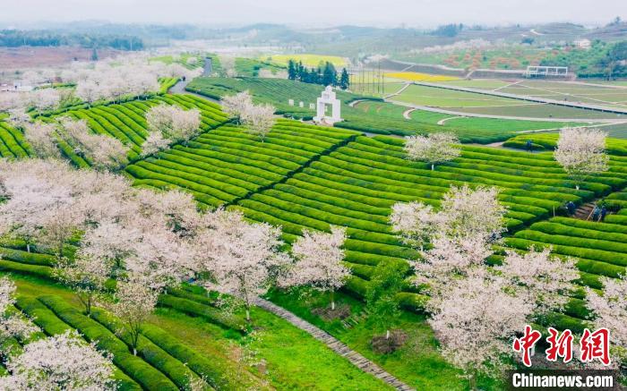 ??? ????? ????? ????? ????? ?? ??? ?????