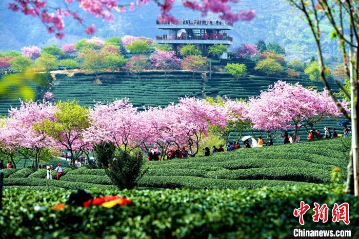 ??? ????? ????? ????? ????? ?? ??? ?????