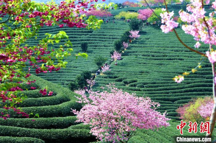 ??? ????? ????? ????? ????? ?? ??? ?????