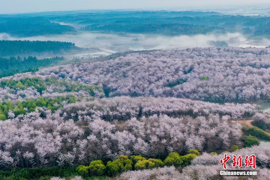 ??? ????? ????? ????? ????? ?? ??? ?????