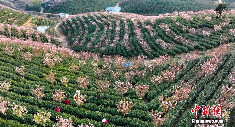 ??? ????? ????? ????? ????? ?? ??? ?????