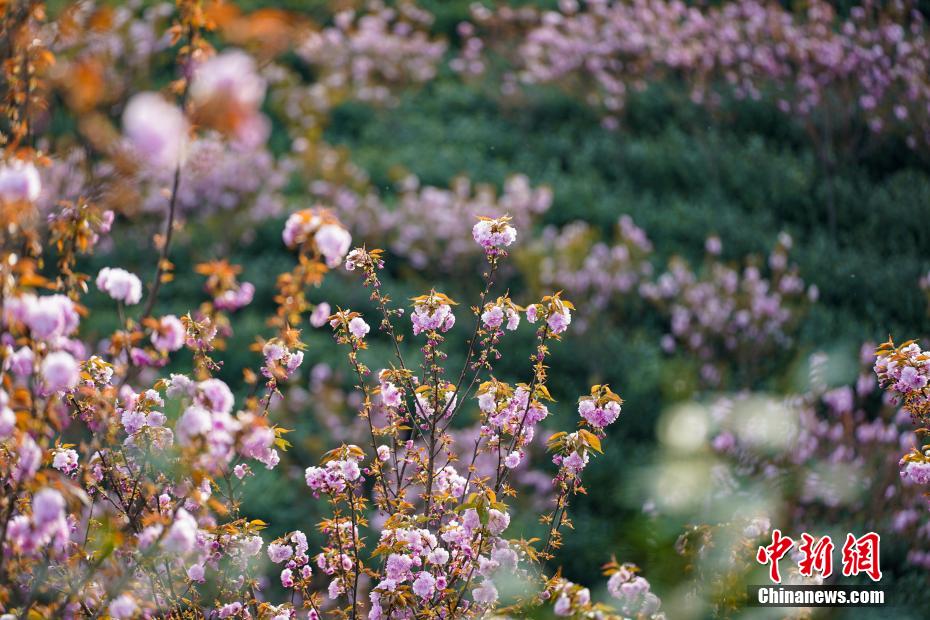 ??? ????? ????? ????? ????? ?? ??? ?????