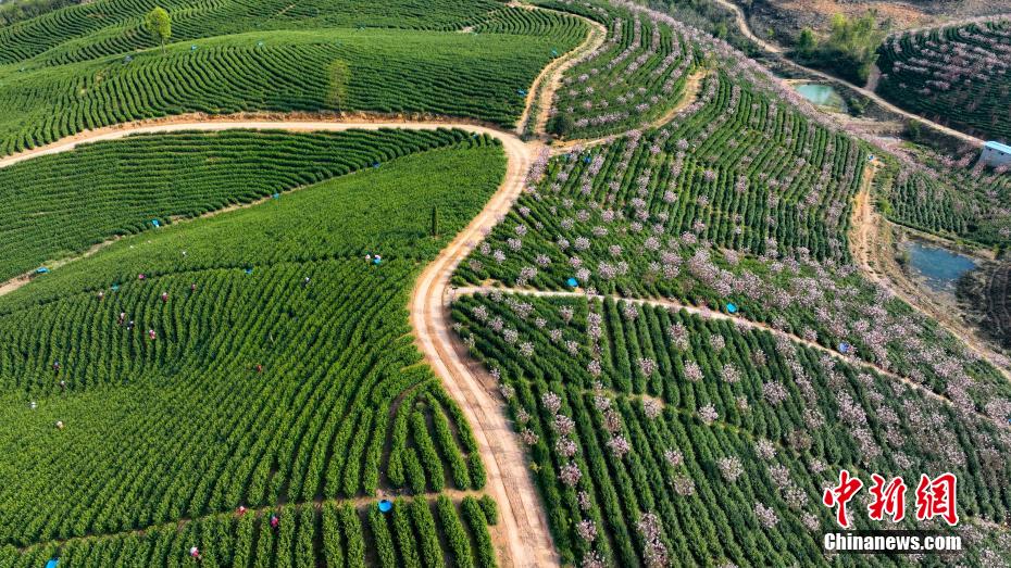 ??? ????? ????? ????? ????? ?? ??? ?????