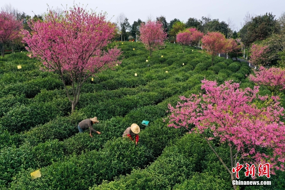 ??? ????? ????? ????? ????? ?? ??? ?????