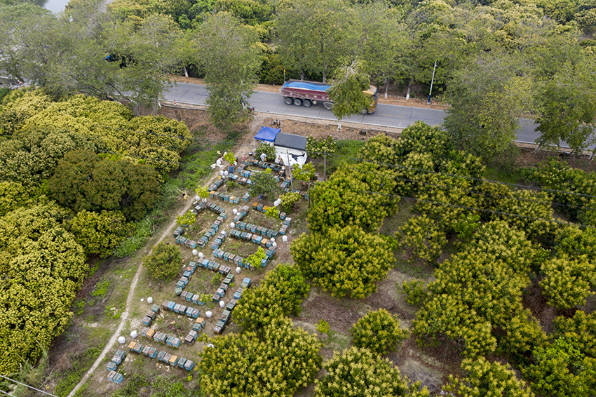 ????????: ???????? ??????? ?? ??? ????? ?? ???? ??? ??????