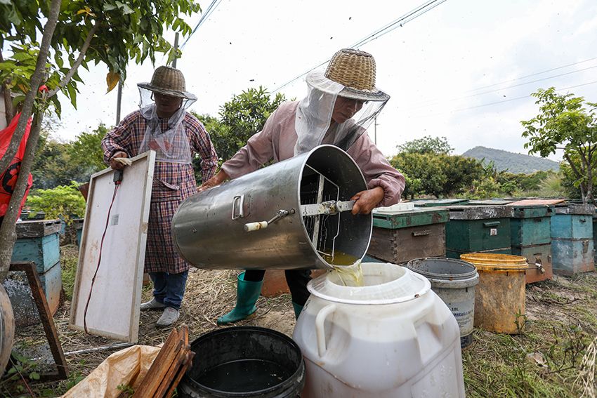 ????????: ???????? ??????? ?? ??? ????? ?? ???? ??? ??????