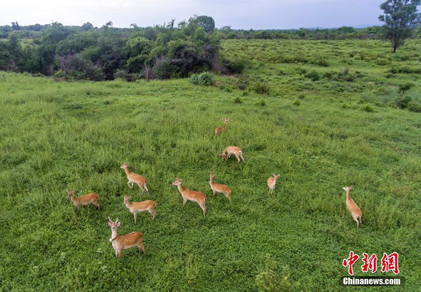 ????? ?????? ?????? ?????? ?????????? ??????? ???????