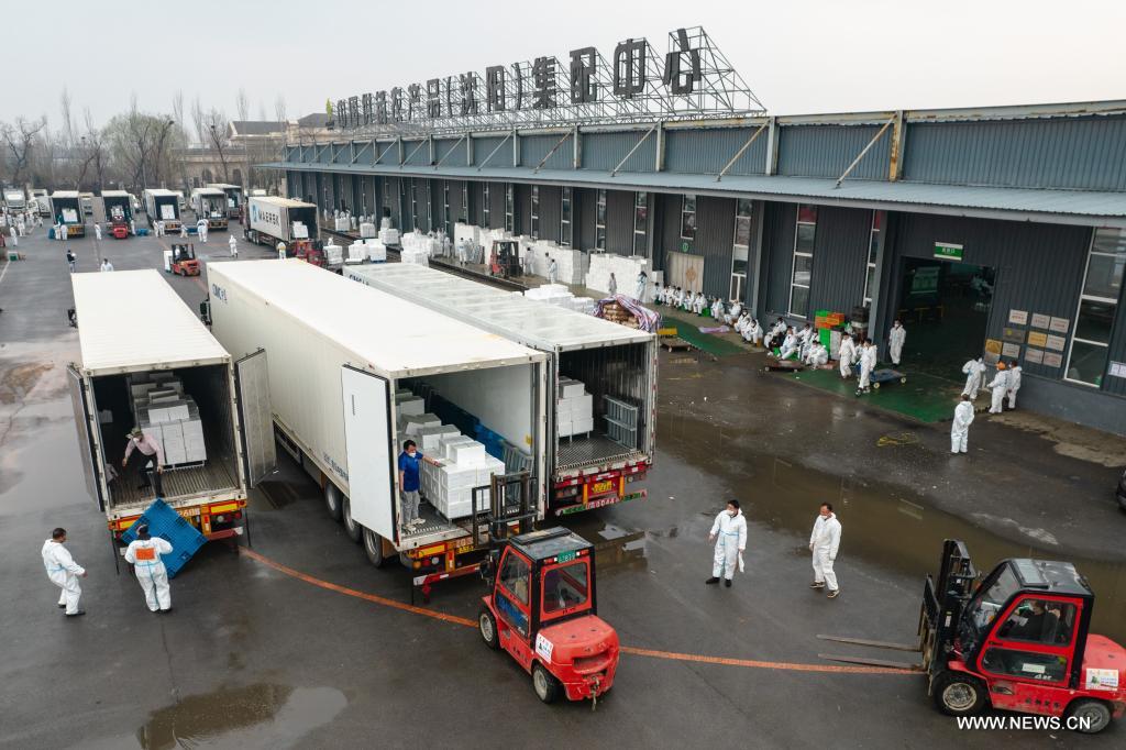 ????? ??????? ?????? ??? ??????? ????????? ??? ?????? ?????? ?????? ??????-19