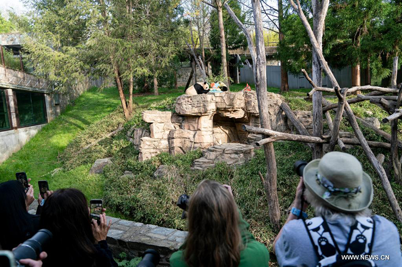 ????? ????? ?????????? ??????? ????????? ????? ??????? ???50 ?????? ???????? ??????? ????????