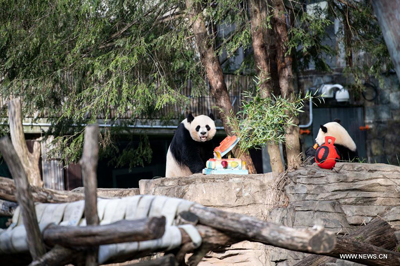 ????? ????? ?????????? ??????? ????????? ????? ??????? ???50 ?????? ???????? ??????? ????????